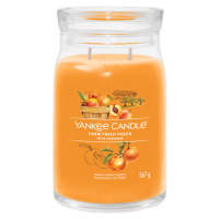 YANKEE CANDLE Signature sklo 2 knoty, Farm Fresh Peach 567 g