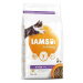 IAMS Cat Kitten Chicken 2 kg