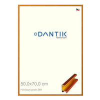 DANTIK rámeček 50 × 70, ALU profil 7269 Oranžový Citrin broušený plexi čiré