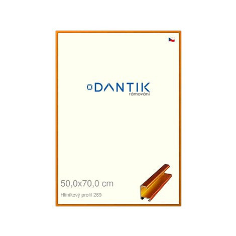 DANTIK rámeček 50 × 70, ALU profil 7269 Oranžový Citrin broušený plexi čiré