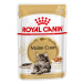 Royal Canin Maine Coon Adult v omáčce - 12 x 85 g