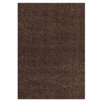 Ayyildiz koberce Kusový koberec Dream Shaggy 4000 brown - 200x290 cm