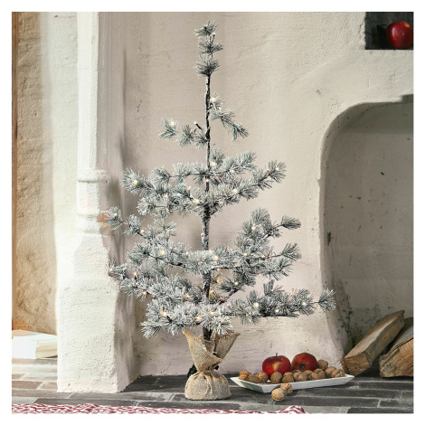 Vánoční stromek Falkirk