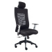 ALBA kancelářská židle LEXA s pevným PDH, područky, BLACK 27