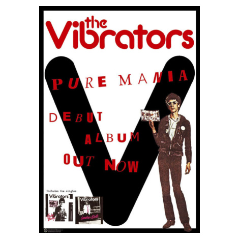 Plakát, Obraz - Vibrators - Pure Mania, (59.4 x 84 cm)