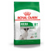 Royal Canin Mini Adult 8+ - granule pro stárnoucí psy malých plemen 2 kg