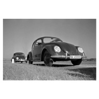 Fotografie Two models of the Volkswagen beetle, or KdF car, with open and closed roof near the t