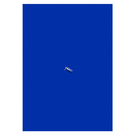 Plakát, Obraz - Washed out, Maarten Léon, 30 × 40 cm