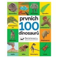Prvních 100 dinosaurů - Vladimír Mátl, Andy Rowland