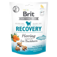 Pochoutka Brit Care Dog Functional Snack Recovery Sleď 150g