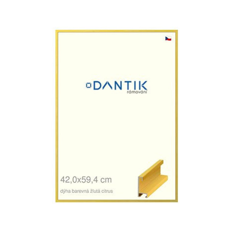 DANTIK rámeček 42 × 59,4, ALU profil 6035 Dýha barevný žlutý citrus plexi čiré