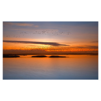 Umělecká fotografie by sunset, Piotr Krol (Bax), (40 x 24.6 cm)