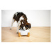 Vsepropejska Odelie mramorová keramická miska pro psa či kočku Barva: Šedá, Rozměr (cm): 15