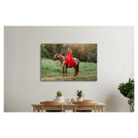 Fotoobraz 90x60 cm z vlastní fotografie, Plátno 100% polyester: 240g/m²