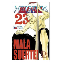 Bleach 23: Mala suerte!