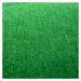 Travní koberec MASTERS venkovní 100 x 200 cm