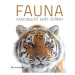 Fauna - Fascinující svět zvířat