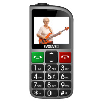 Evolveo EasyPhone FL stříbrná