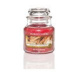 YANKEE CANDLE Sparkling Cinnamon 104 g