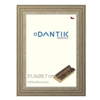 DANTIK rámeček 21 × 29,7, LYON stříbrný sklo čiré