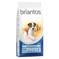 Briantos Junior Young & Fit - Výhodné balení 2 x 14 kg