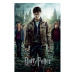 Plakát Harry Potter - Deathly Hallows Part 2 One Sheet (67)