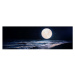 Obraz na plátně Noční krása, 150x50 cm