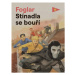 Stínadla se bouří - Jaroslav Foglar