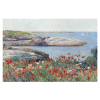Obrazová reprodukce Poppies on the Isles of Shoals (Vintage Seaside Landscape / Seascape) - Fred
