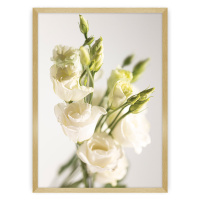 Dekoria Plakát Elegant Flowers, 30 x 40 cm, Volba rámku: Zlatý