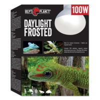 Žárovka Repti Planet Daylight Frosted 100W