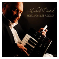 David Michal: Moje zapomenuté ploužáky (2x LP) - LP