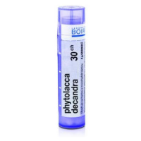 BOIRON Phytolacca Decandra CH30 4 g