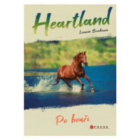 Heartland Po bouři - Lauren Brooke