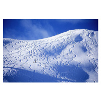 Fotografie Backcountry ski lines cover a beautiful hill., Heath Korvola, (40 x 26.7 cm)