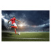 Fotografie Football player in the stadium, efks, 40 × 26.7 cm