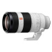 Sony 100-400mm f/4.5-5.6 GM OSS