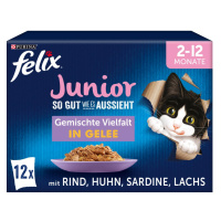 FELIX So gut wie es aussieht v želé Junior různé druhy 12× 85 g