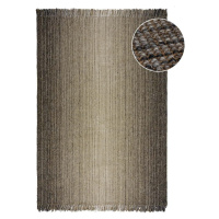 Šedý koberec 160x230 cm – Flair Rugs