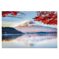 Umělecká fotografie Fuji Mountain , Red Maple Tree, DoctorEgg, (40 x 26.7 cm)