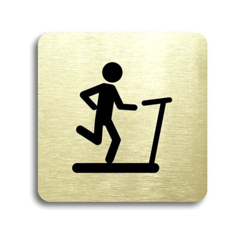 Accept Piktogram "fitness VII" (80 × 80 mm) (zlatá tabulka - černý tisk bez rámečku)