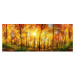 MP-2-0067 Vliesová obrazová panoramatická fototapeta Sunny Forest + lepidlo Zdarma, velikost 375