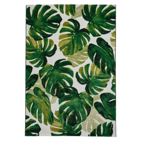 Tmavě zelený koberec 160x220 cm Havana – Think Rugs