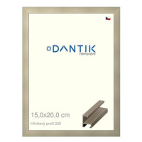 DANTIK rámeček 15 × 20, ALU profil 6220 champagne sklo čiré