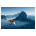 Fotografie Hang Gliding Over Yosemite Valley, Bill Ross, 40 × 26.7 cm