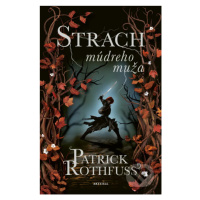 Strach múdreho muža - Patrick Rothfuss - kniha z kategorie Sci-fi, fantasy a komiksy