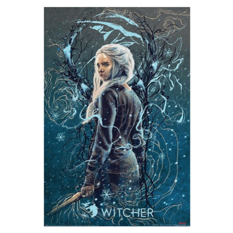 Plakát The Witcher - Ciri the Swallow (265) Europosters