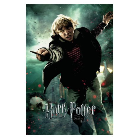 Plakát, Obraz - Harry Potter - Ron Weasley, 26.7 × 40 cm Europosters