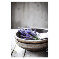 Fotografie Lavender In Bowl, Treechild, (26.7 x 40 cm)