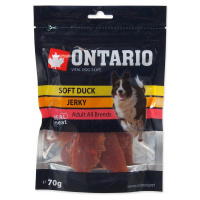 Pochoutka Ontario kachna, měkké kousky 70g